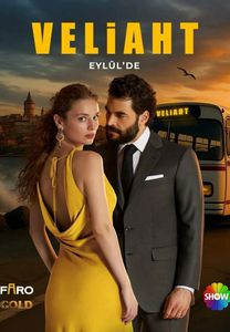 Турецкий сериал Наследник Все серии (Турция, 2025) смотреть онлайн на русском языке бесплатно