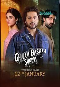 Пакистанский сериал Раб, король и красавица Все серии (Пакистан, 2026) смотреть онлайн на русском языке в хорошем качестве бесплатно.