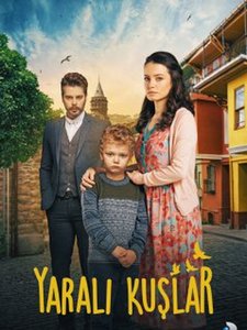 Раненые птицы турецкий сериал