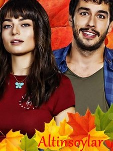 Алтынсои турецкий сериал